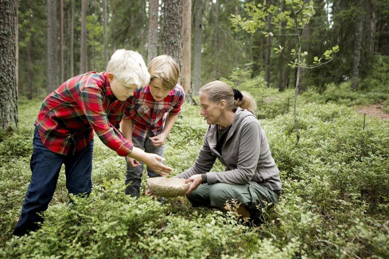 Stf Kolarbyn Eco-Lodge Skinnskatteberg Bagian luar foto